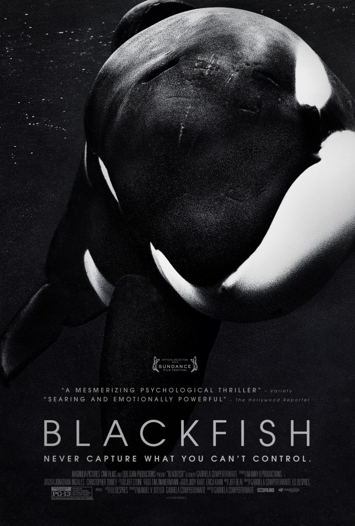 blackfish-860236l