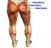 GetAttachment.aspx (2)