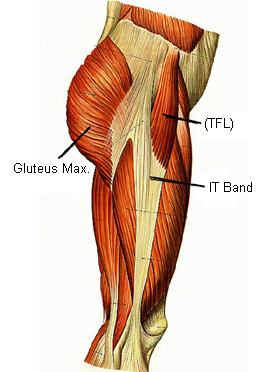 it bands adn glutes - Copy