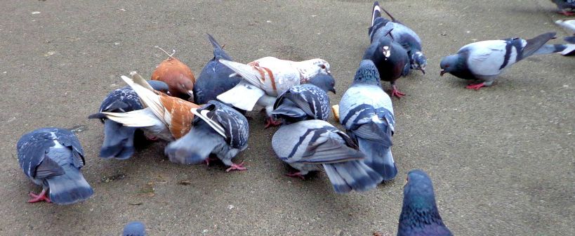 See any similarities?