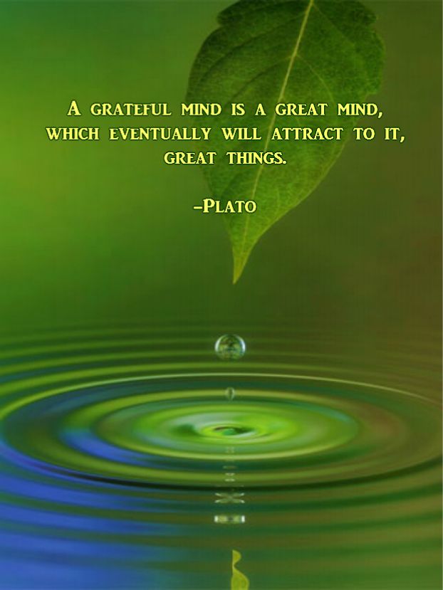 BeFunky_ripple effect green.jpg