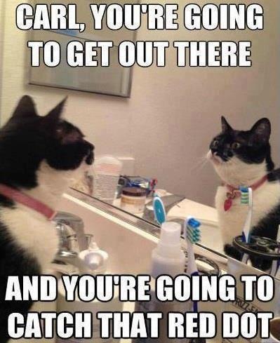 577560_10151335732407820_922345136_n